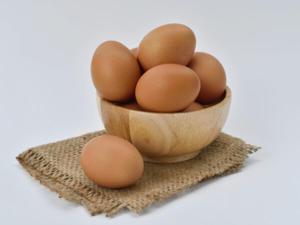 Bio-Eier